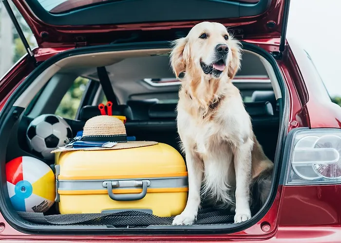 Apartamento Voglergasse Baden-Baden